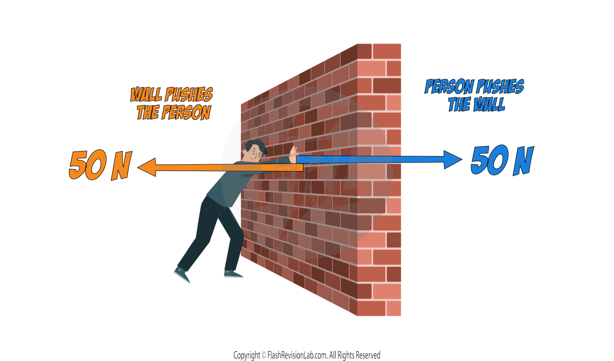 Newton's Third Law